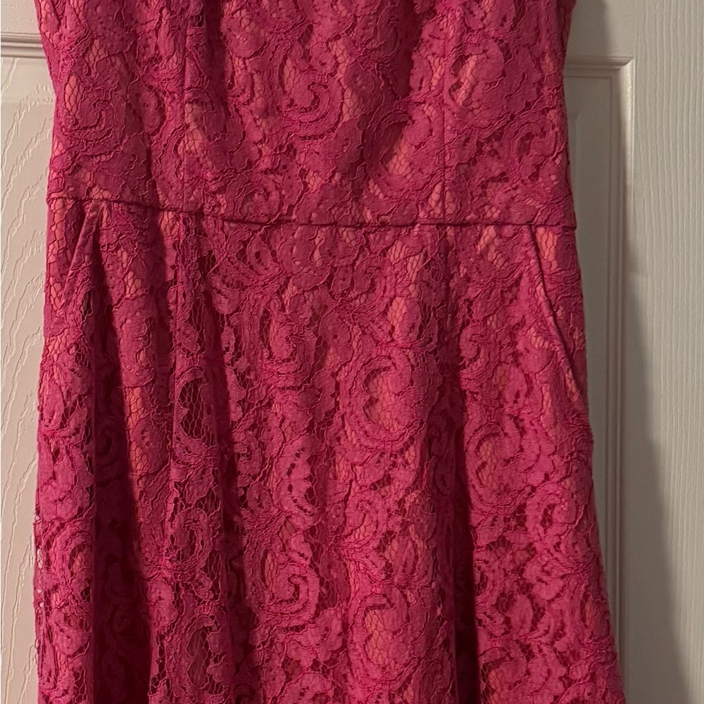 Adrianna Papell Pink Lace Dress